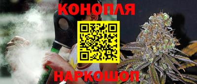 гидропоника Новокубанск