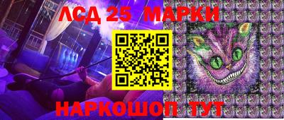 гидропоника Новокубанск