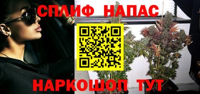 гидра Новодвинск