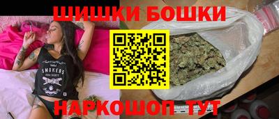 гидра Новодвинск