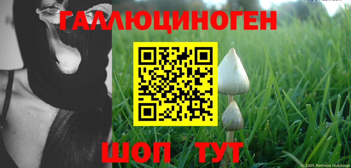 Псилоцибиновые грибы MAGIC MUSHROOMS  Вход с VPN  Бутурлиновка 